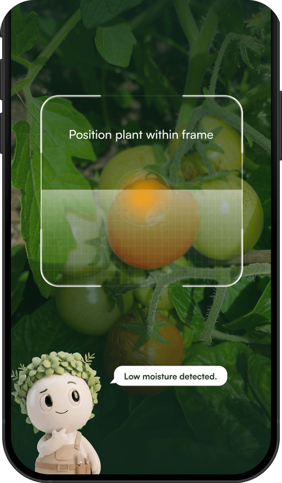 Growli plant identification screen
